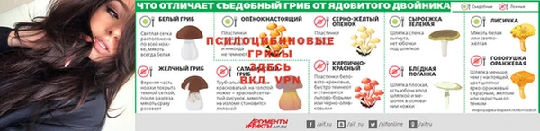 дживик Алексин