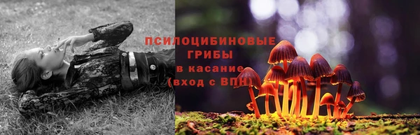 стафф Остров