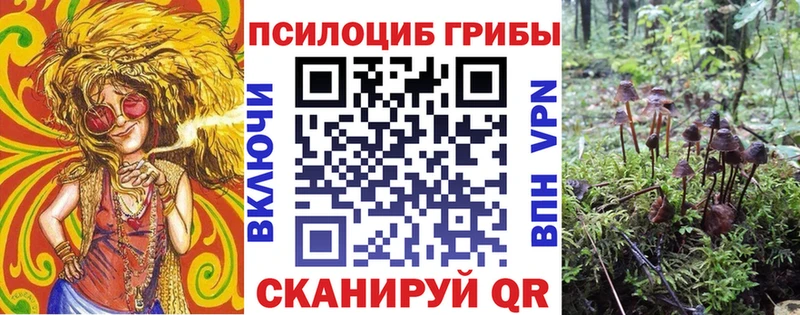 Псилоцибиновые грибы GOLDEN TEACHER  закладка  Наволоки 